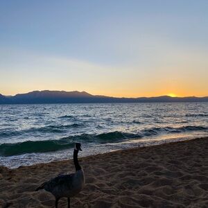 Meet your Posher, Wendy